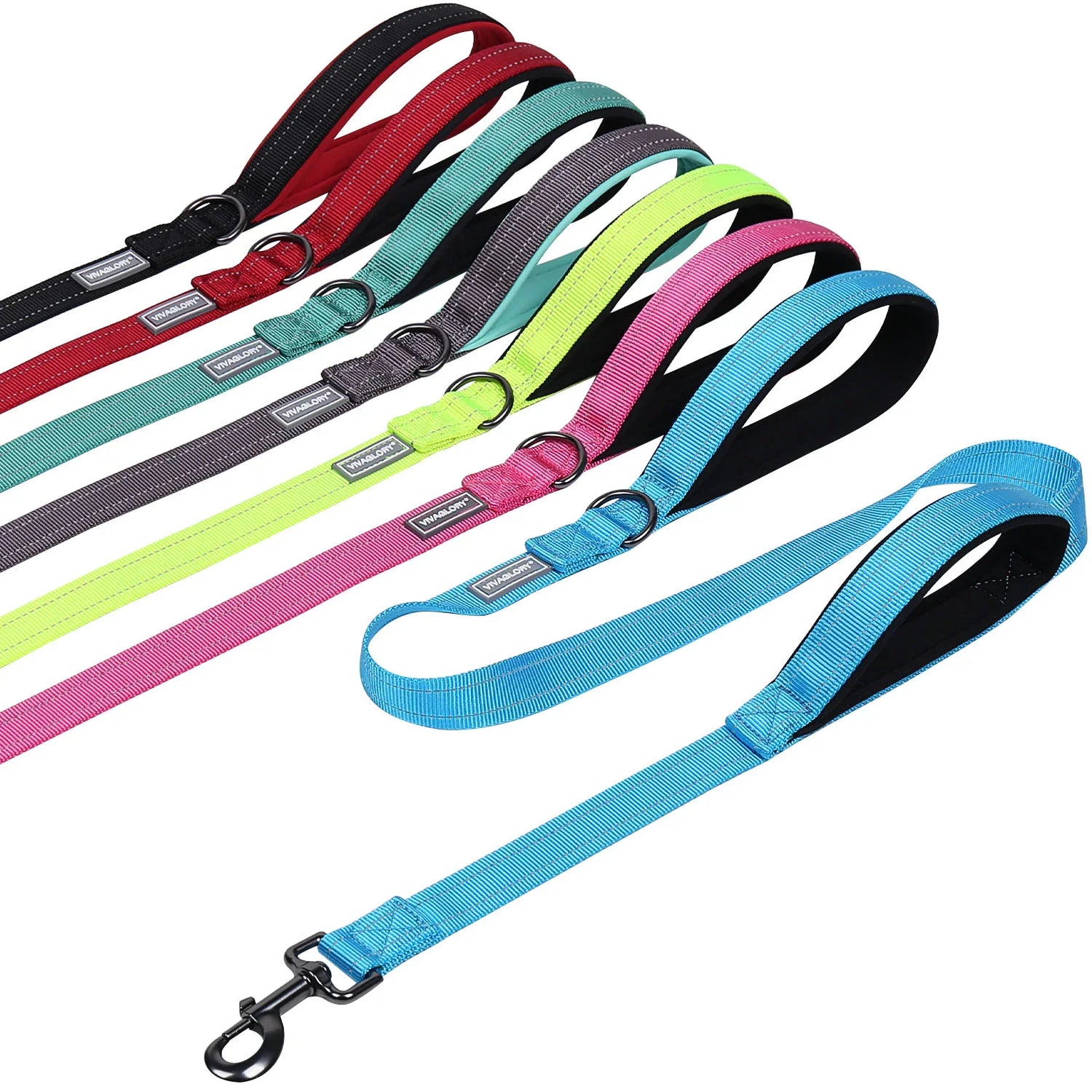 Dog Leashes