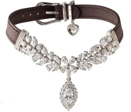Pet Collar