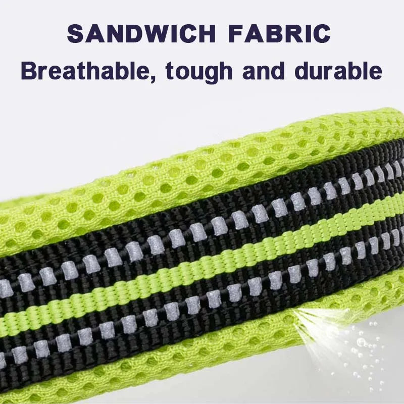 Winhyepet Dog Walking Collar Comfort Padded with Buckle Nylon Traveling Collar Tactical Dog Suplies 11 Colors Size XXS-XXXL