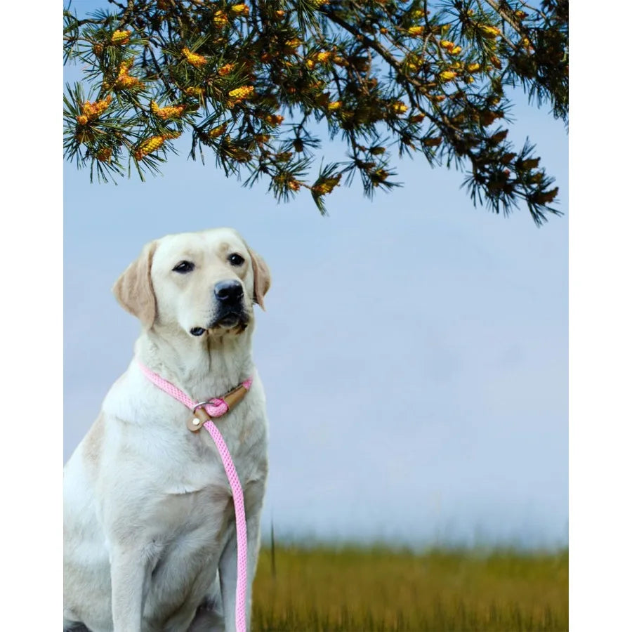 Heavy Duty Braided Dog Leash for Training and Walking: 5FT 6FT 8FT Adjustable Length Strong Slip Lead Design for Large Breeds D