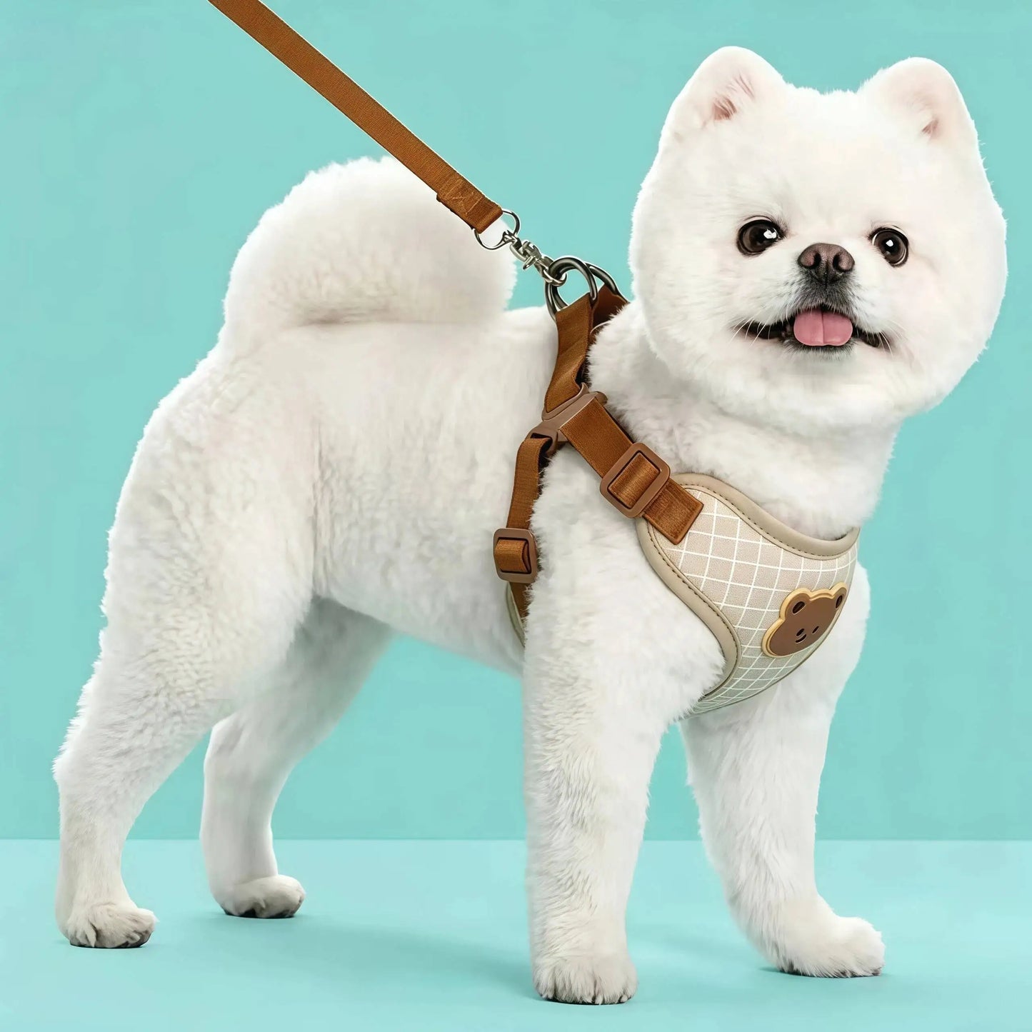 Lead Leash Set For Small Medium Cat Vest Chest Strap Puppy Chihuahua Breathable Harness Dog Walking Pet Supplies