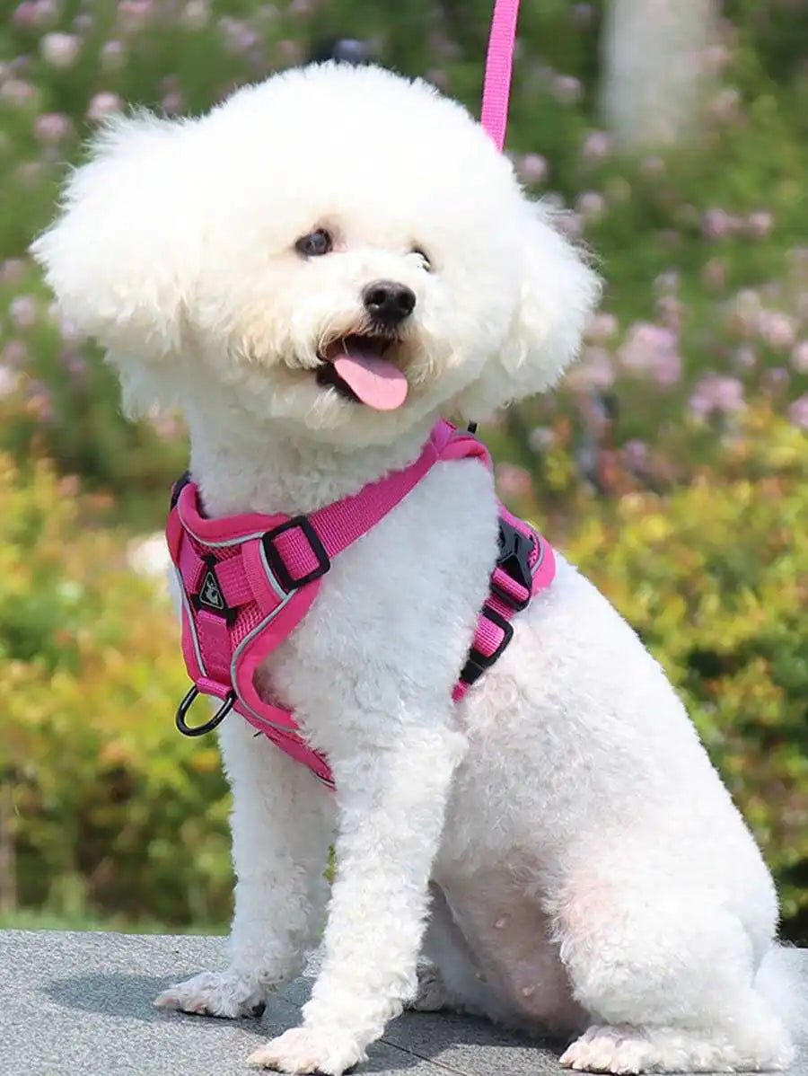 Reflective Pet Harness And Leash Set, Suitable For Dogs & Cats, Escape-Proof Adjustable Small Dog Chest Strap With Soft Mesh