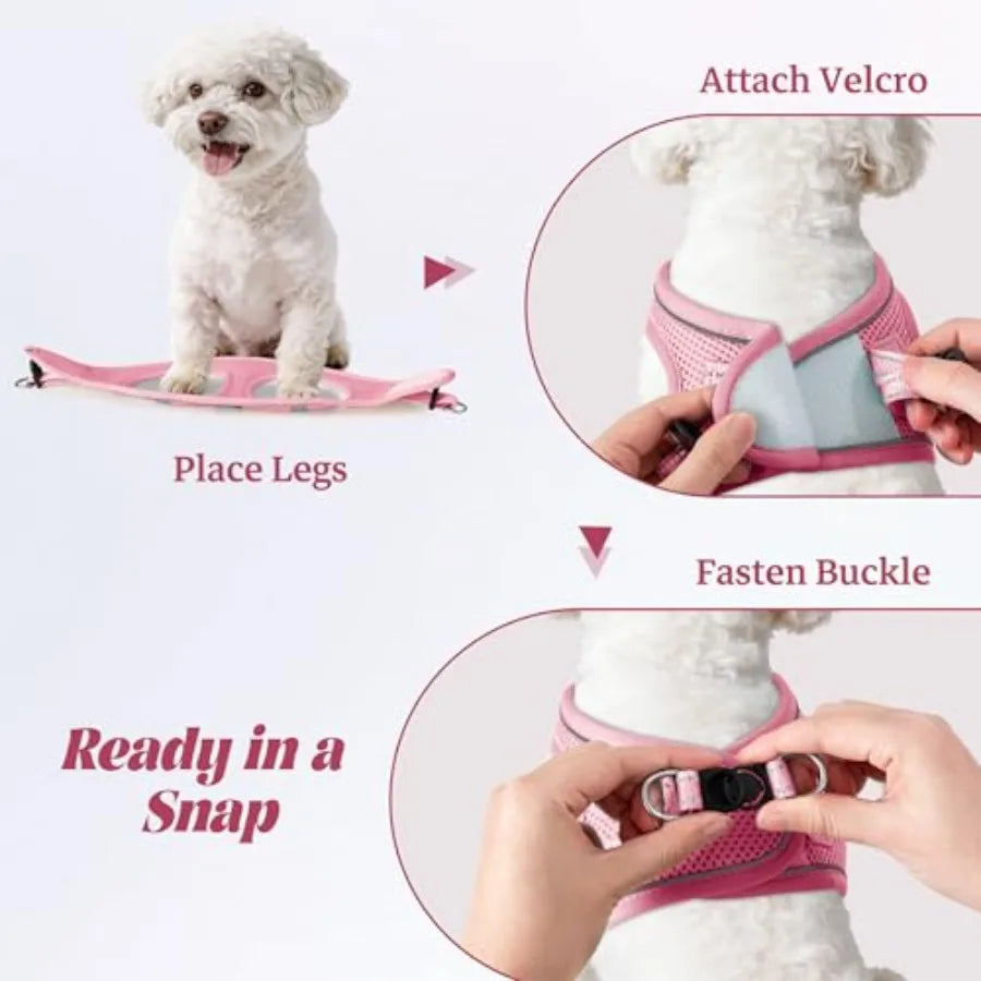 Dog Harness and Leash Set: Outdoor Walking, Soft Mesh, Black, No-Pull Reflective Adjustable Design for Small to Large Dogs and