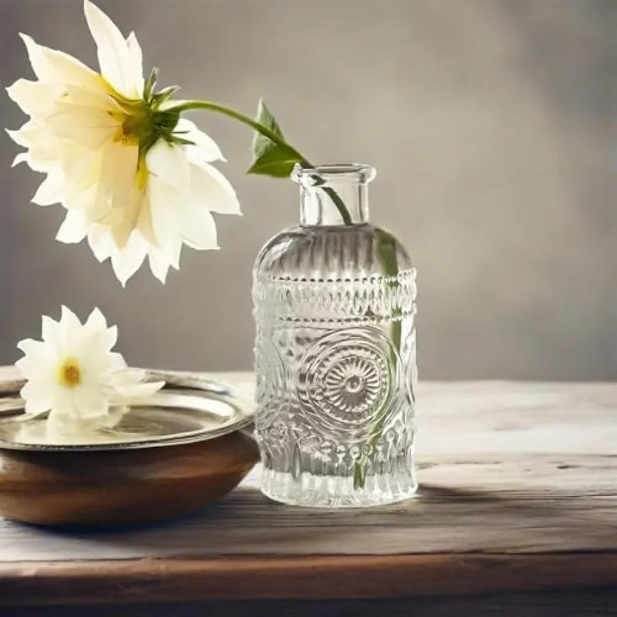 Propagation Vases for Plants, Bud Vases, Small Glass Vase for Flowers, Home Decor, Table Decor, Shelf Decor, Desk Decor, Office