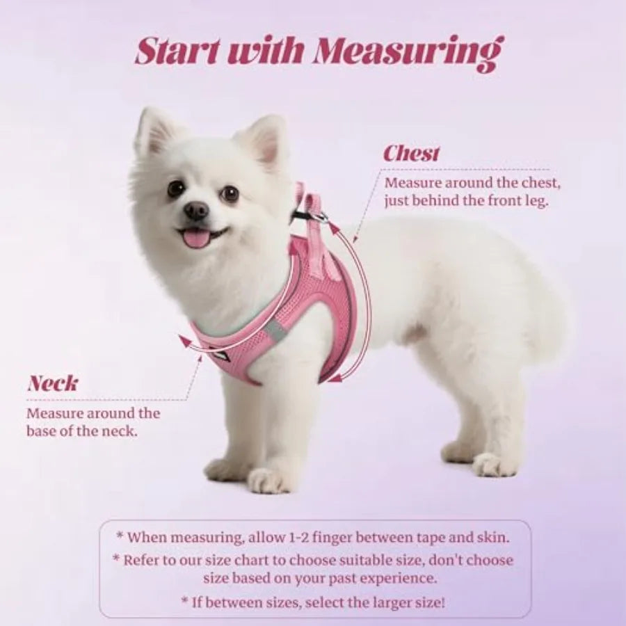 Dog Harness and Leash Set: Outdoor Walking, Soft Mesh, Black, No-Pull Reflective Adjustable Design for Small to Large Dogs and
