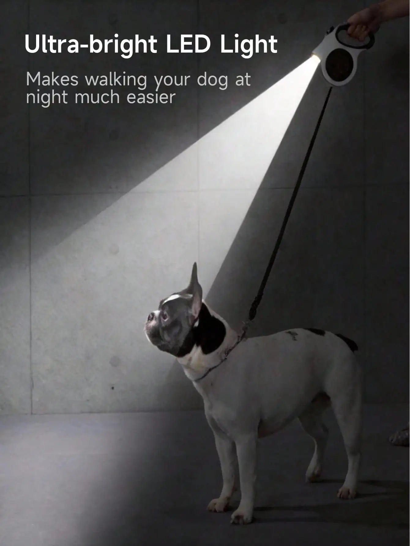 Led Light Retractable Dog Leash for Small to Medium Dogs – Extends Up to 16ft for Night Walks