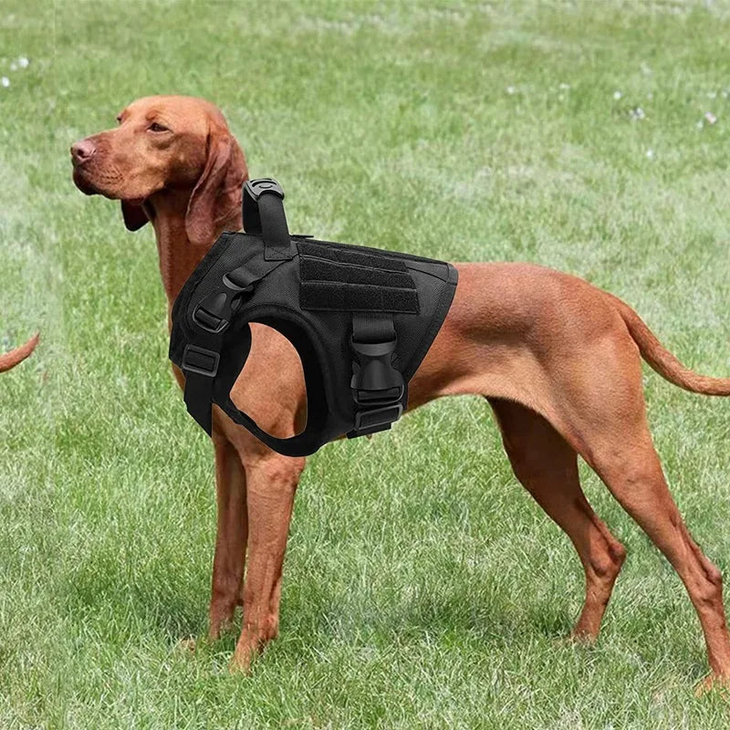 Medium and large dog tactical vest nylon water-repellent tactical training wolf dog harness explosion-proof