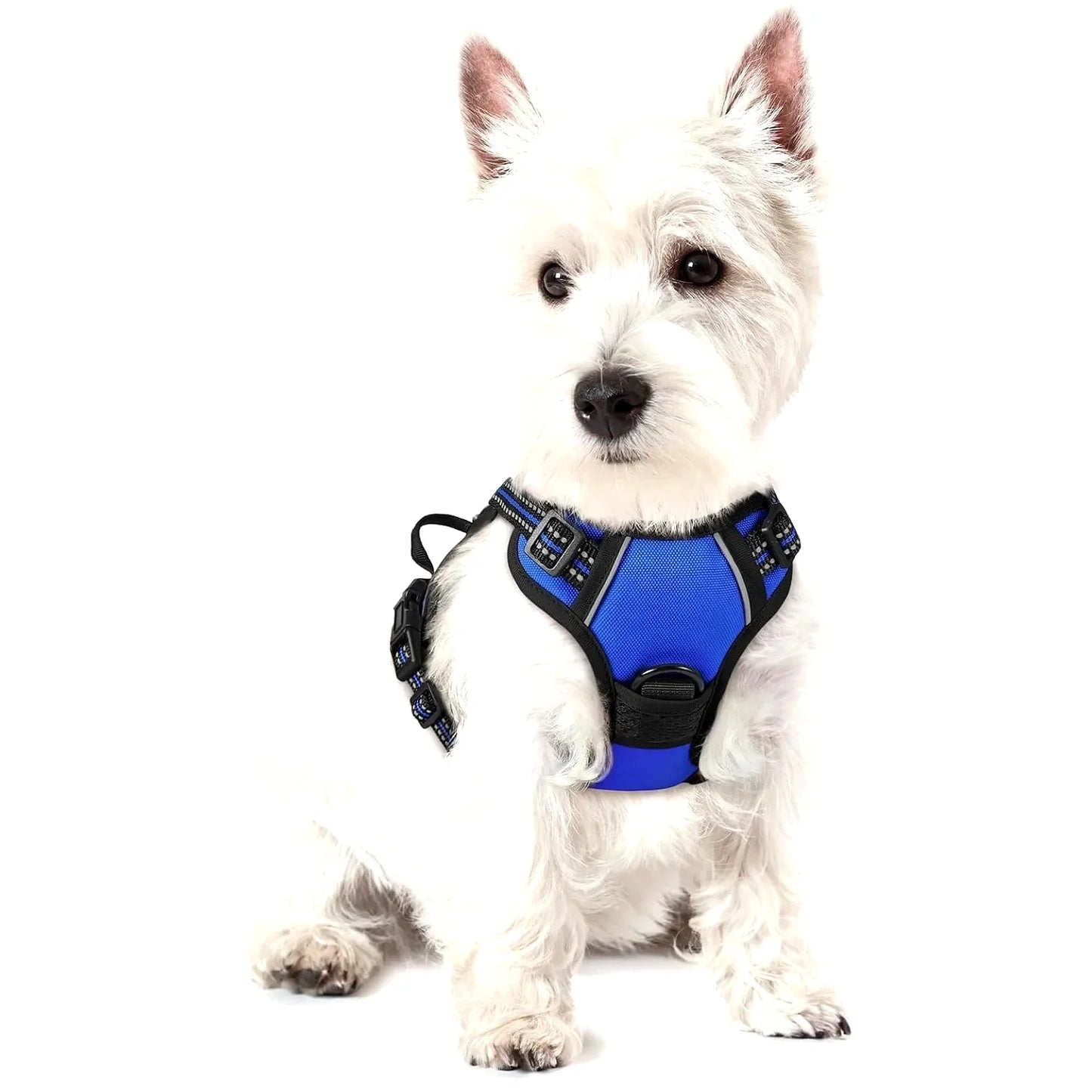 Dog Harness No Pull with 2 Leash Clips, Adjustable Soft Padded Reflective Vest for Small Dogs, Easy Control Handle, Dazzling