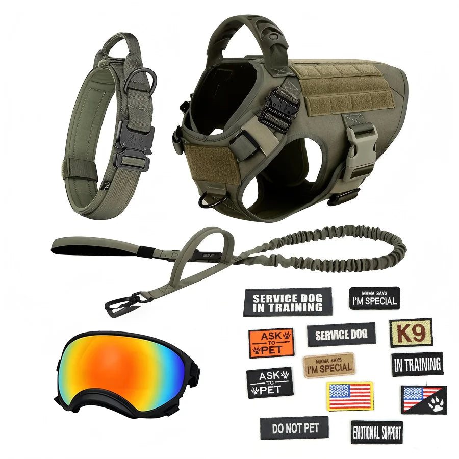 Tactical Dog Harness Vest With Collar Leash Velcro Patches And Sunglasses For Medium Large Dogs Adjustable For Outdoor Training Walking Working And Daily Use
