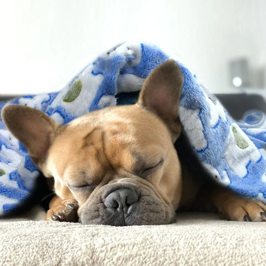 3Pack Washable Dog Blankets for Medium to Large Dogs Soft Fuzzy Pet Throw Cover 41 x 31 Ideal for Kennel Crate Beds Indoor Outd