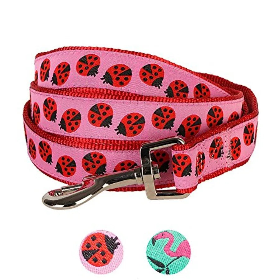 Essentials 2 Patterns Durable Pink Webbing Ladybug Designer Dog Leash 4 ft x 1 Large Basic Nylon Leashes for Dogs in Outdoor Wa