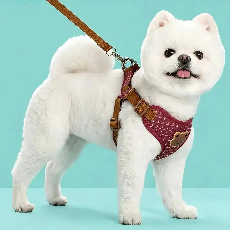 Lead Leash Set For Small Medium Cat Vest Chest Strap Puppy Chihuahua Breathable Harness Dog Walking Pet Supplies