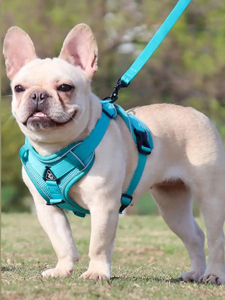 Reflective Pet Harness And Leash Set, Suitable For Dogs & Cats, Escape-Proof Adjustable Small Dog Chest Strap With Soft Mesh