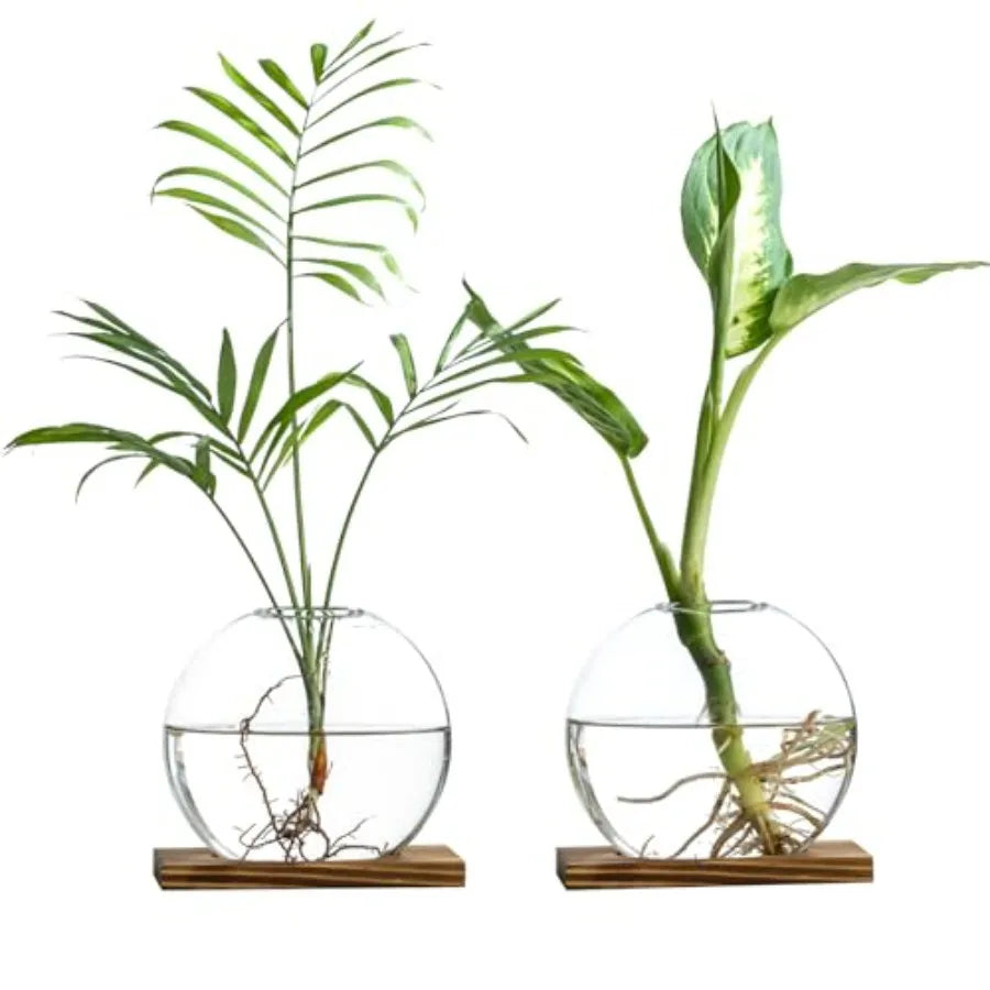 Glass Planter Propagation Station with Wooden Base - Clear Oblate Hydroponic Vase, Decorative Desktop Flower Vase for Home, Off