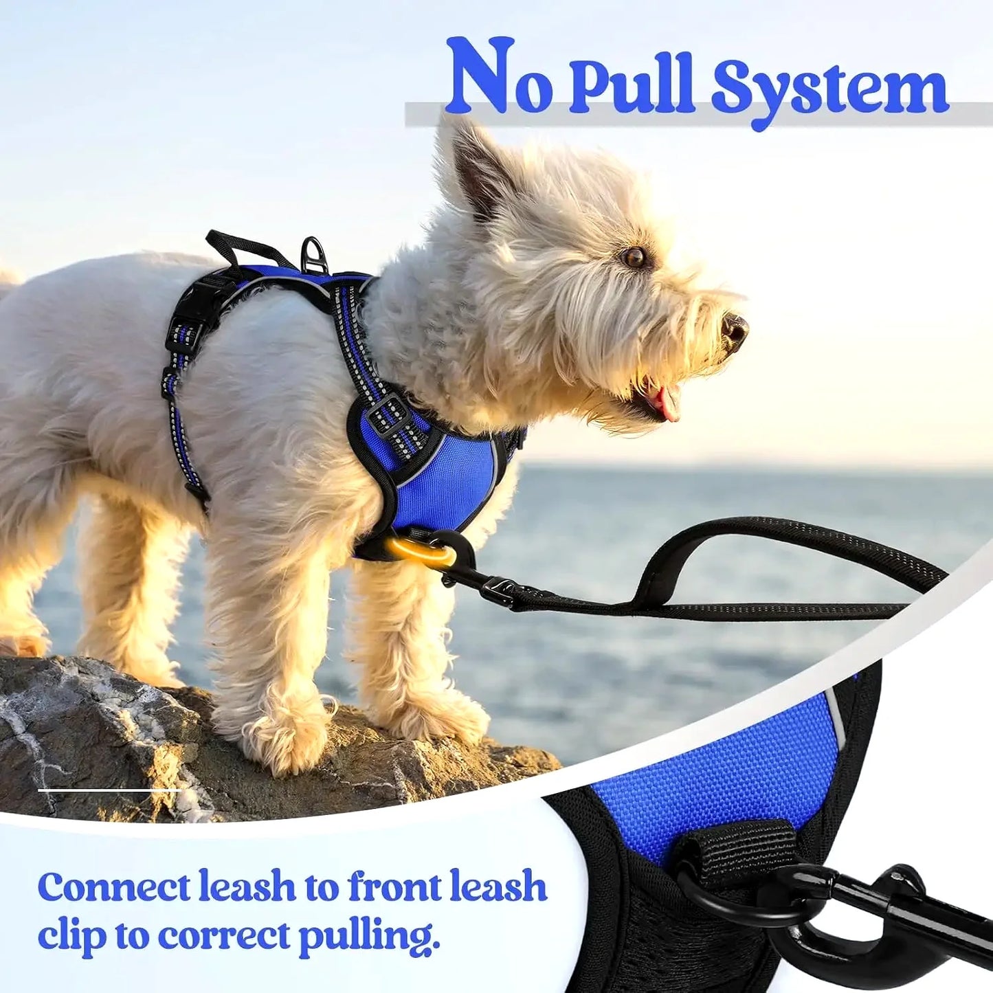 Dog Harness No Pull with 2 Leash Clips, Adjustable Soft Padded Reflective Vest for Small Dogs, Easy Control Handle, Dazzling