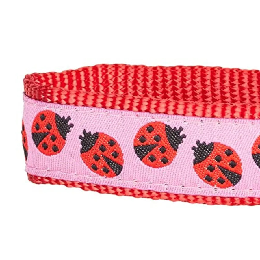 Essentials 2 Patterns Durable Pink Webbing Ladybug Designer Dog Leash 4 ft x 1 Large Basic Nylon Leashes for Dogs in Outdoor Wa