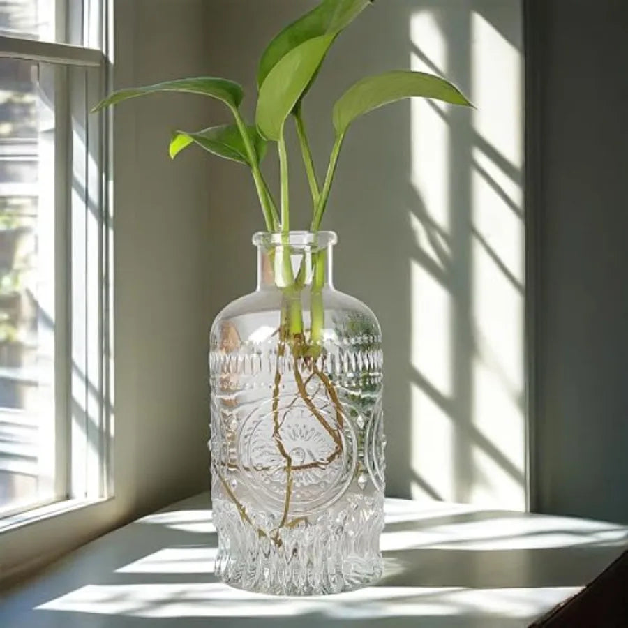 Propagation Vases for Plants, Bud Vases, Small Glass Vase for Flowers, Home Decor, Table Decor, Shelf Decor, Desk Decor, Office