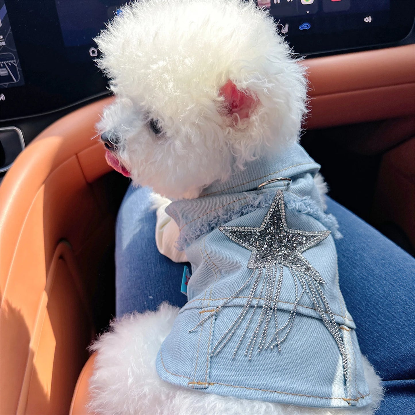 Pet Denim Jacket Vest Costume Vintage Jean Coat Shirt Cosplay Outfit for Everyday Wear and Special Occasions