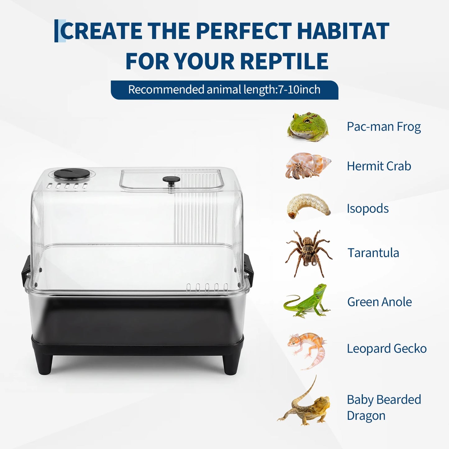 Reptile Tank Starter Kit, Reptile Terrarium Kit, Acrylic Small Reptile Habitat with Lid, Heating Pad, Hygrometer, Bowl,Hide, Sand for Reptiles,Tarantula,Lizards,Frogs,Geckos,or Hermit Crabs
