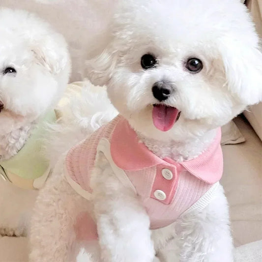 Summer Pet Dog Polo Shirt Breathable Dog Clothes Fashion Puppy Vest Cute Solid Cat Shirt Soft Pet Costumes Chihuahua Dog Clothes