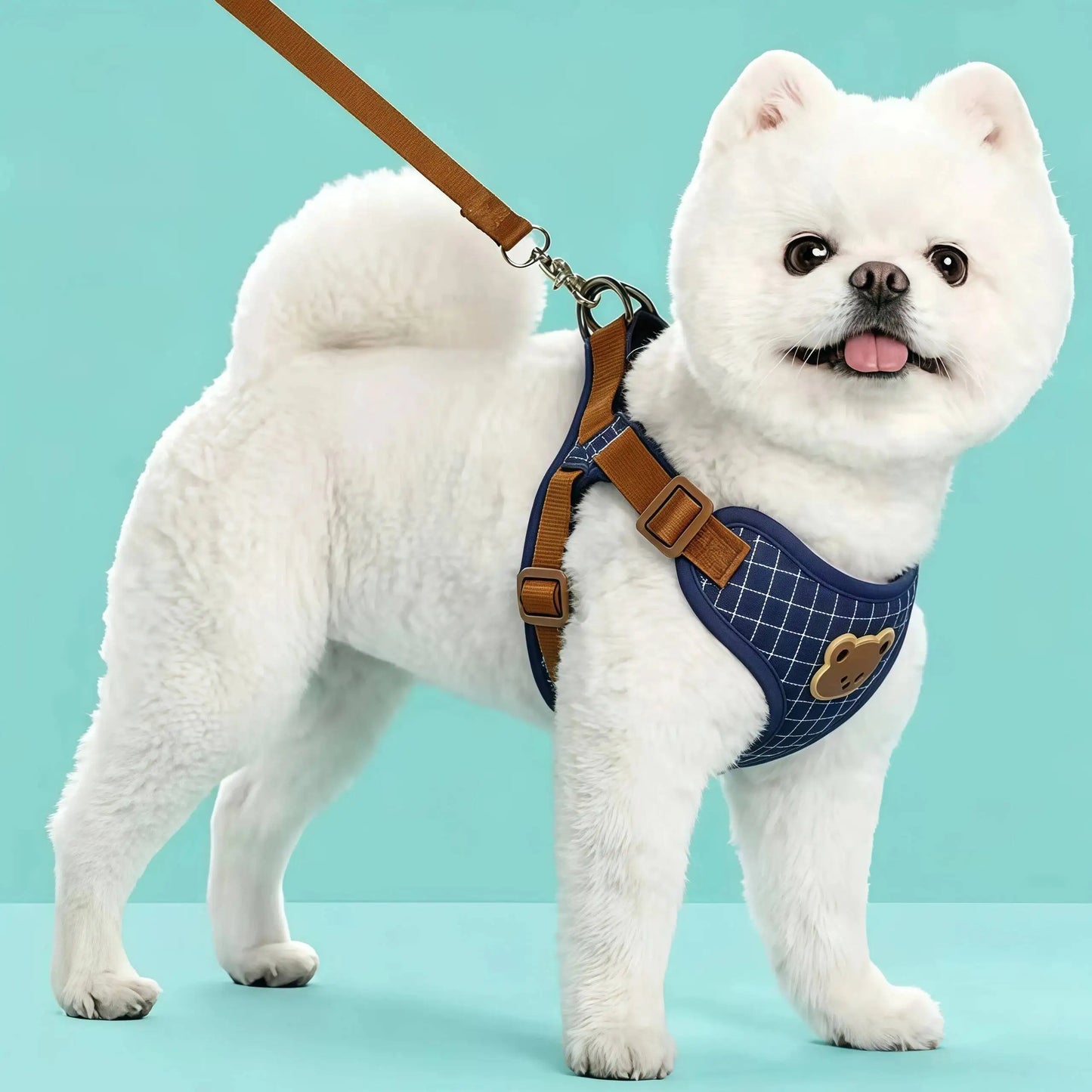 Lead Leash Set For Small Medium Cat Vest Chest Strap Puppy Chihuahua Breathable Harness Dog Walking Pet Supplies