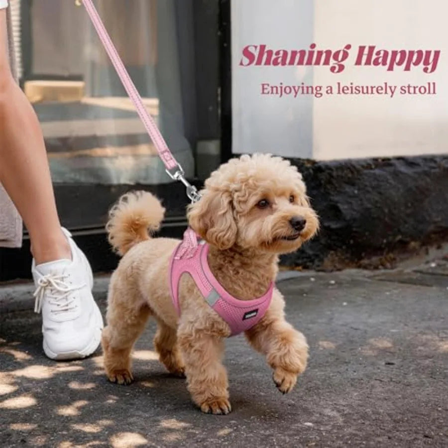 Dog Harness and Leash Set: Outdoor Walking, Soft Mesh, Black, No-Pull Reflective Adjustable Design for Small to Large Dogs and