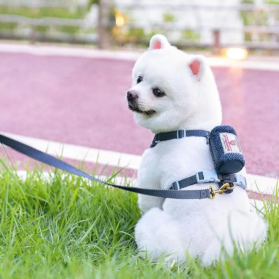Dog Harness Leash with Poop Bag Holder Escape Proof Pet Vest for Outdoor Walking Lightweight Collar and Leash Set for Small Medi