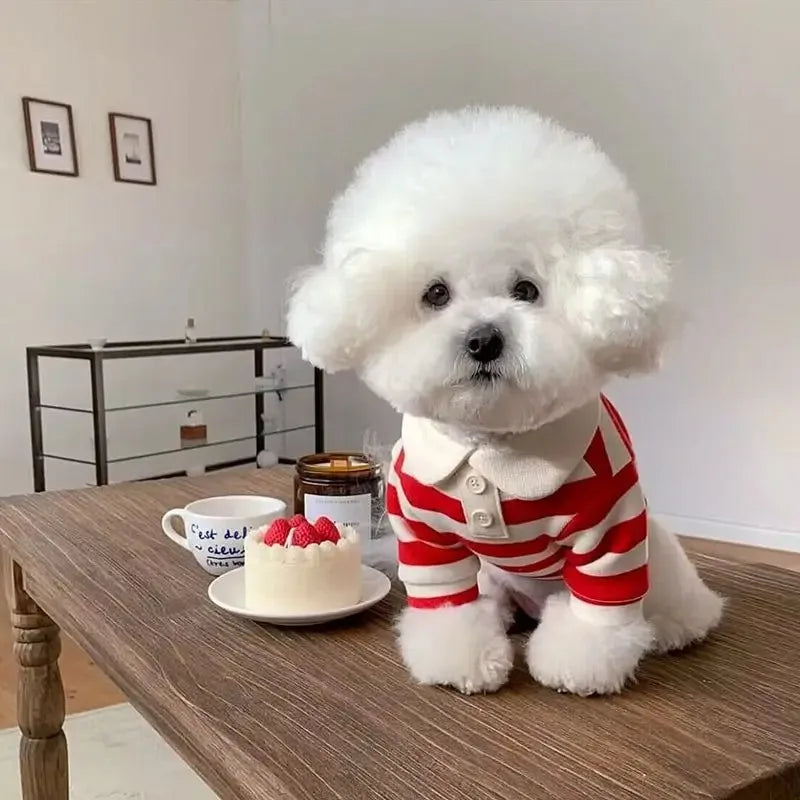 Summer Polo Shirt for Dogs Puppy Clothes Bichon Frise Chihuahua Stripe Dog Sweatshirt Dog Cooling Vest for Small and Medium Dogs