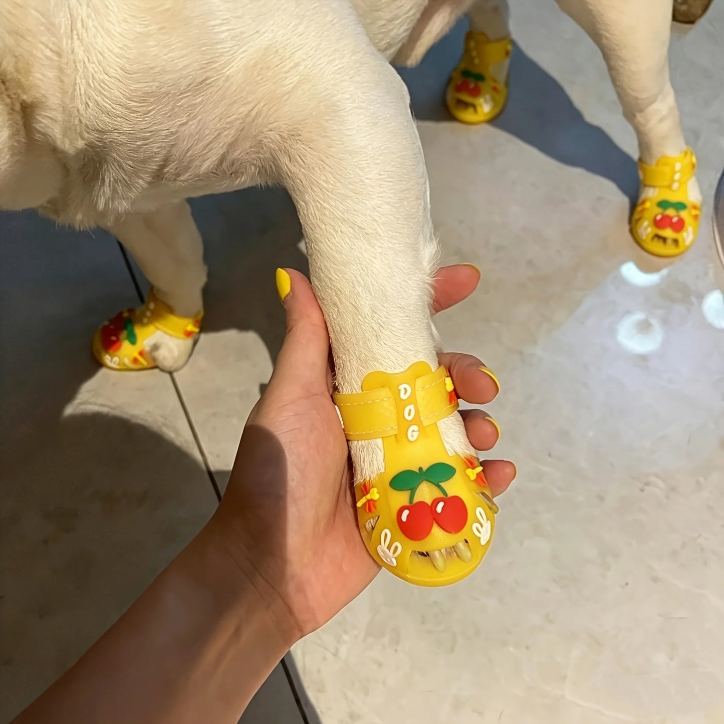 Small dog pet jelly sandals rain shoes teddy bear outdoor sandals pet shoes silicone cool pet shoes dog shoes